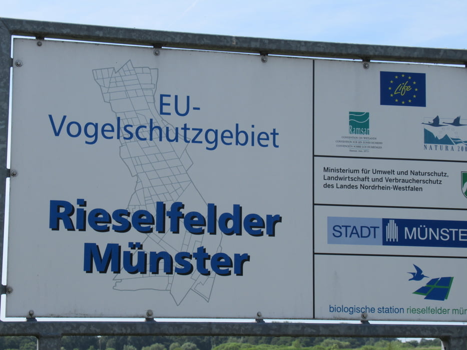 Runde zum EU Vogelschutzgebiet Rieselfelder Münster