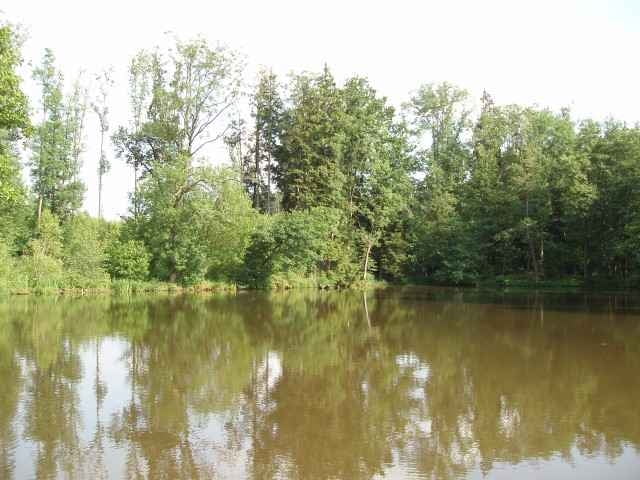 Wiflinger Weiher - Hörlkofen - Wolfswinkel - Rottmann - Indorf - Pretzen - Wörth