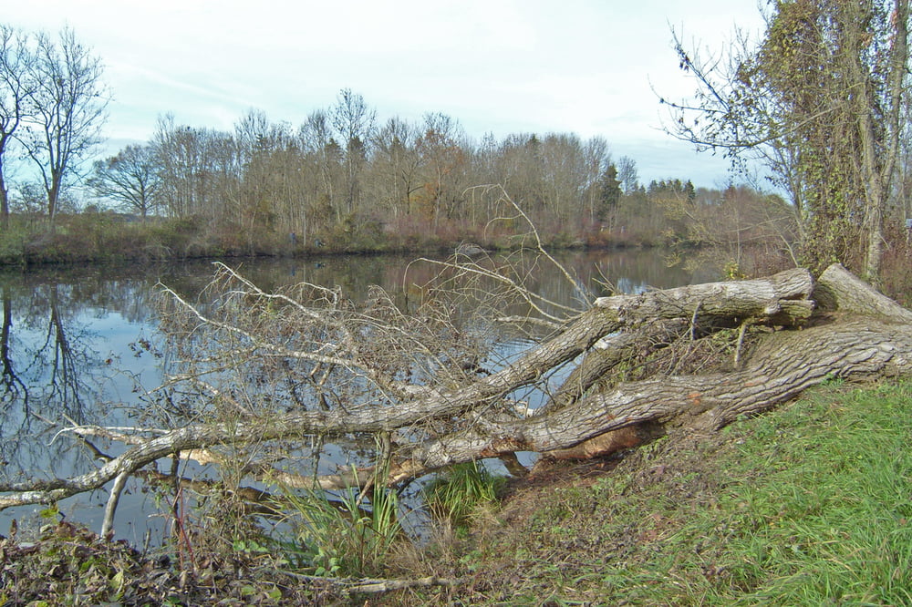 Bad Wörishofen, zum Wörishofener See