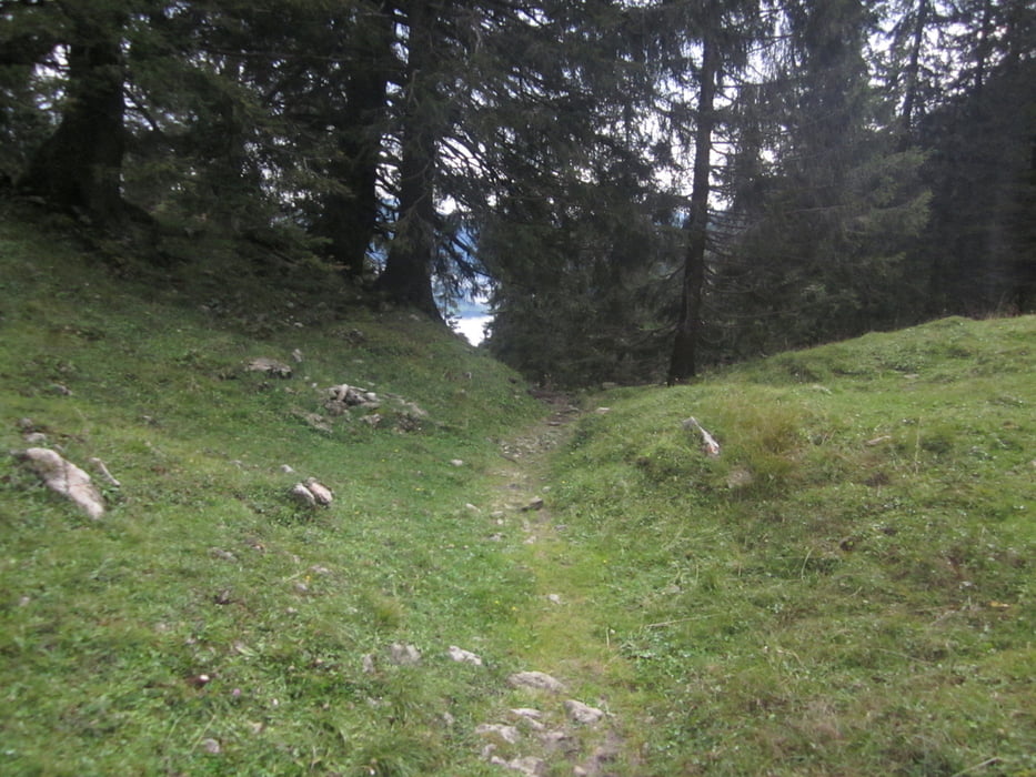 Hochfelln über Färnbodenalm und Strohnschneid