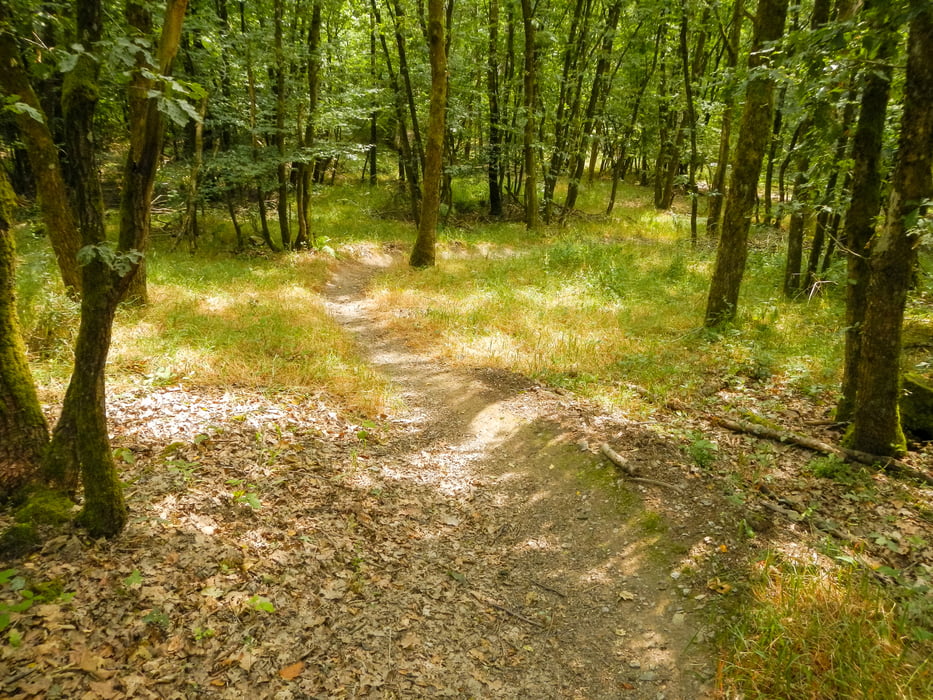 Ingo-Trail