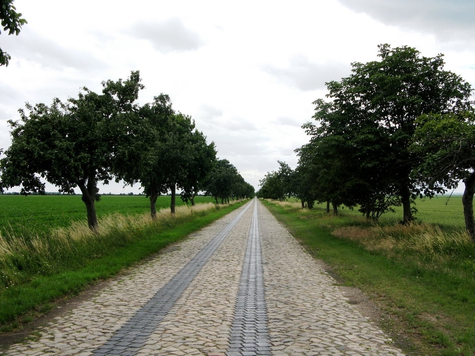 Bode-, Saale- und Elberadweg 