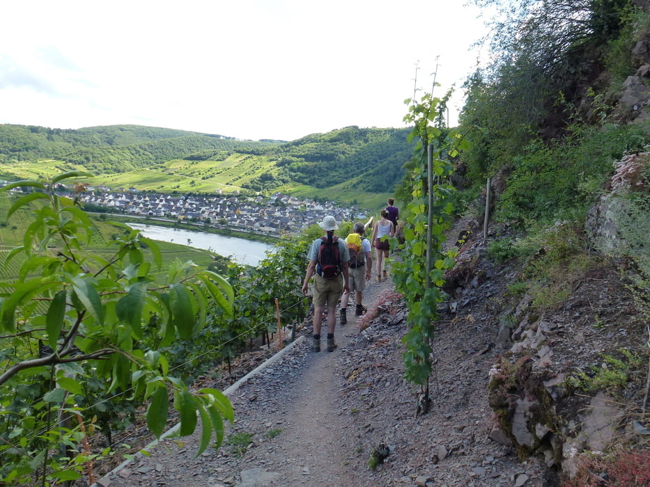Calmont Klettersteig und an der Mosel zurück