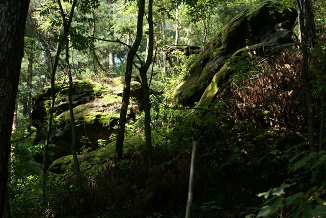 Königsstein Rauensteine Wehlen