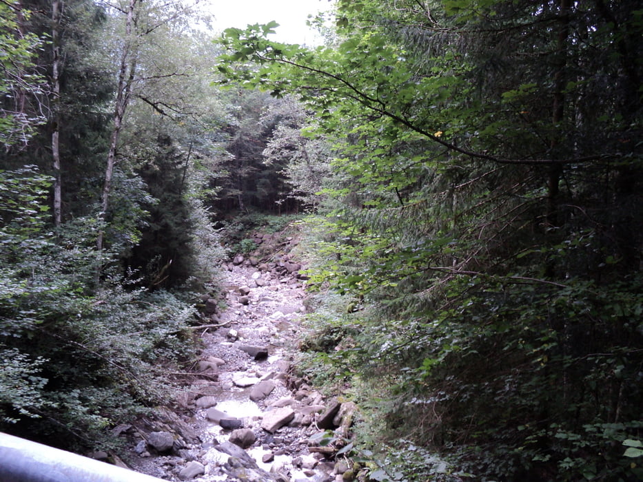 Bolgental ins Lochbachtal