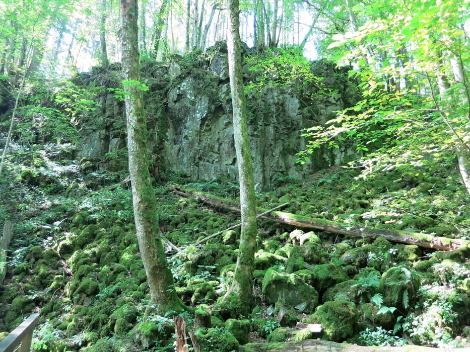 von der Heidsmühle an der kleinen Kyll entlang
