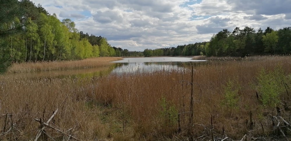 368. Klein Leine, Skurrile 3 Seen Tour, Klein Leiner See und Briesener See 