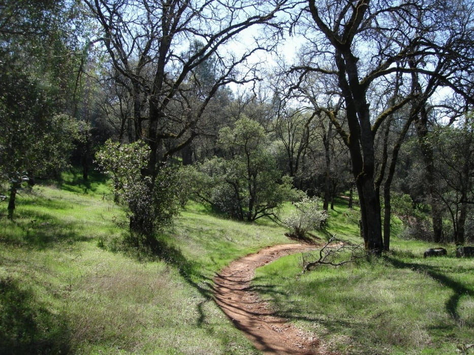 Clementine Loop