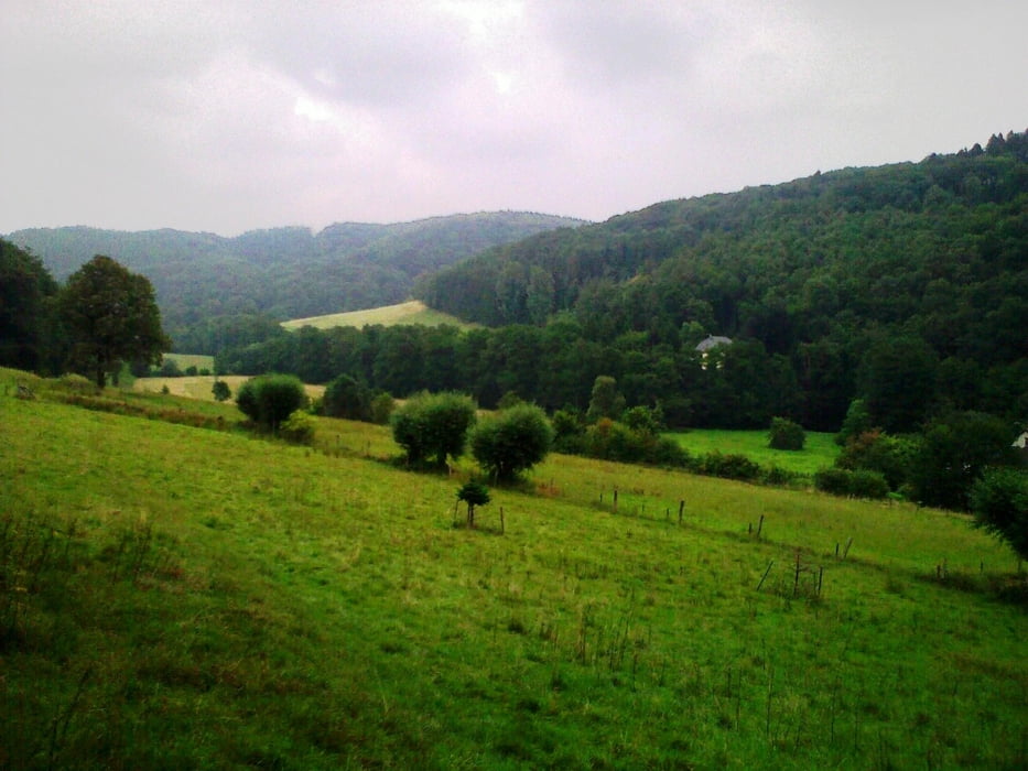 Efringhauser Schweiz
