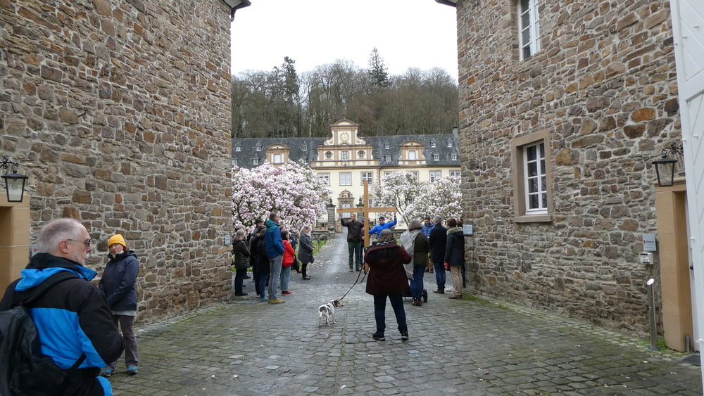 Zur Magnolienblüte nach Schloss Ehreshoven