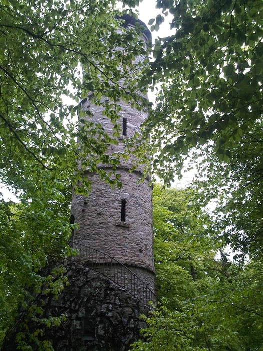 Alteburgturm - Wildburg (Sonnwald)