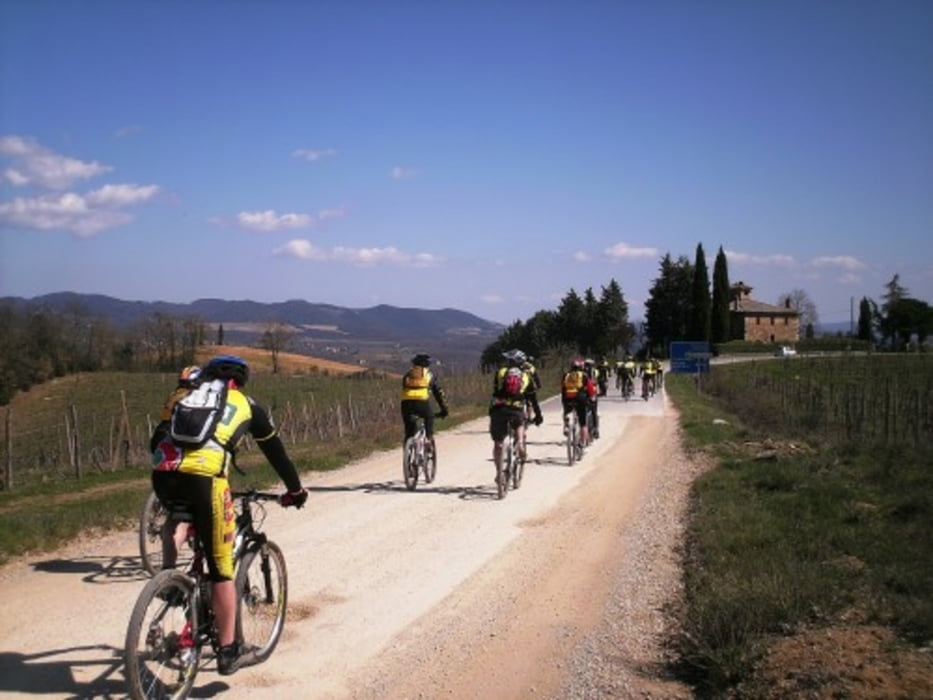 Ecomaratona del Chianti - Castelnuovo Berardenga - Siena