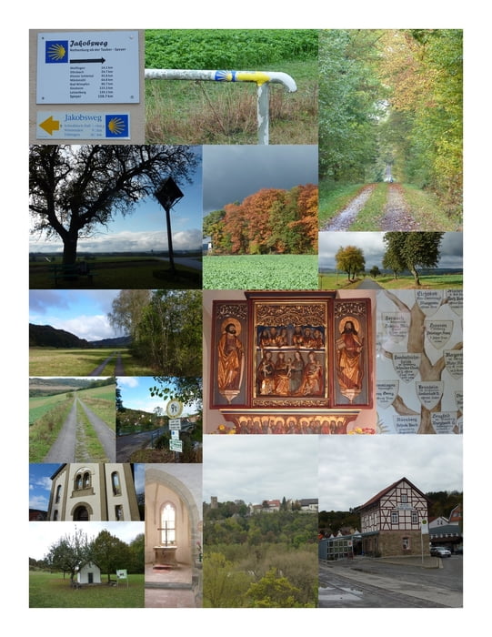 Collage mit Bildern des Tages