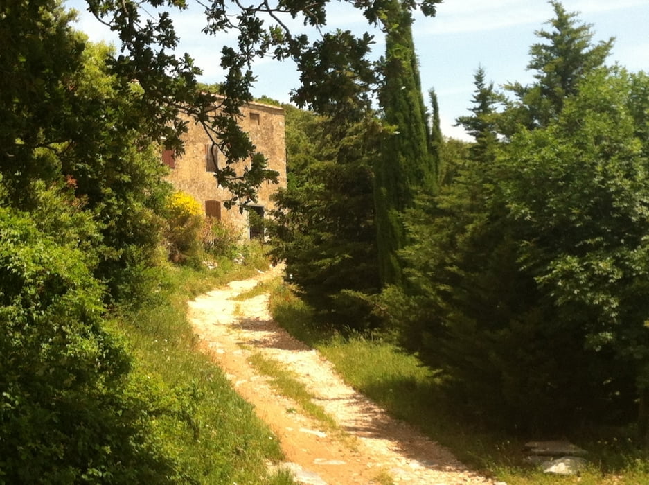 Rund um Campiglia Marittima