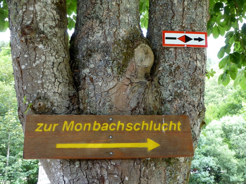 Monbachschlucht