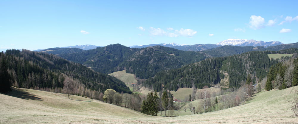Malleisten - Neuberg - Scheibe