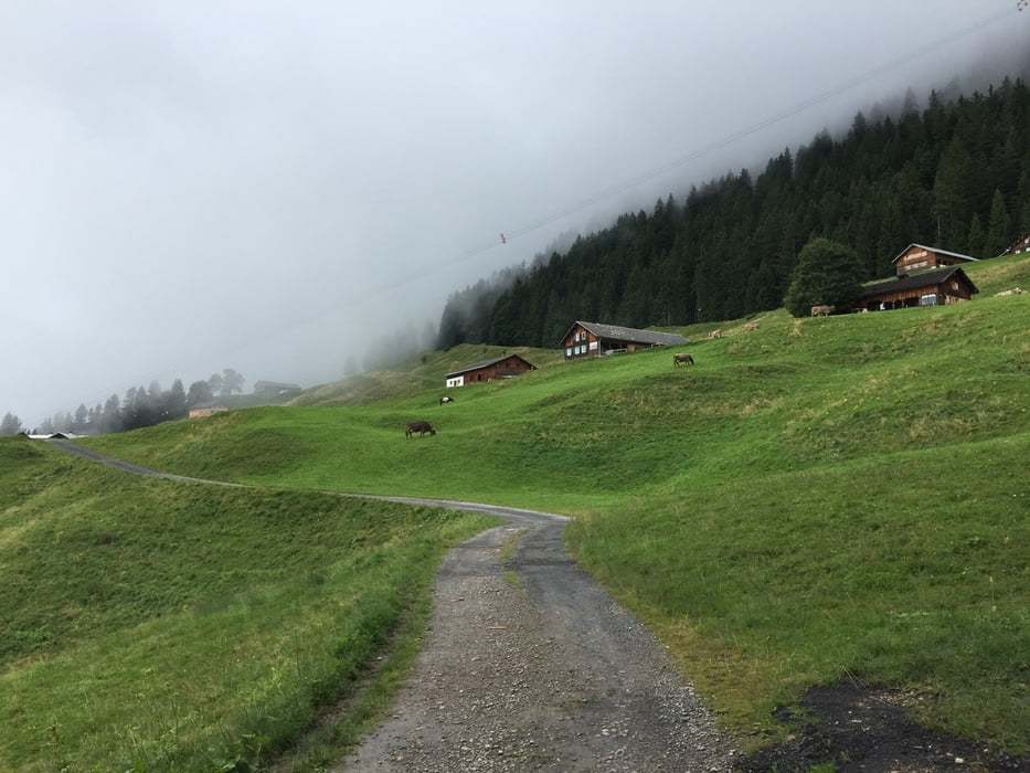 Bezau - Talstation - Sonderdach - Baumgartenhöhe