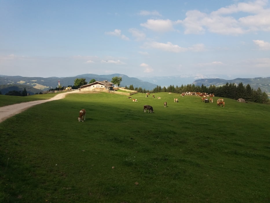 Tuffalm Tschafonhütte