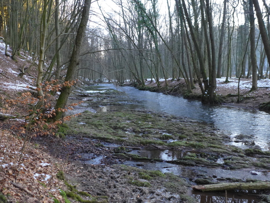 Bergisches Land: Eifgenbachtal