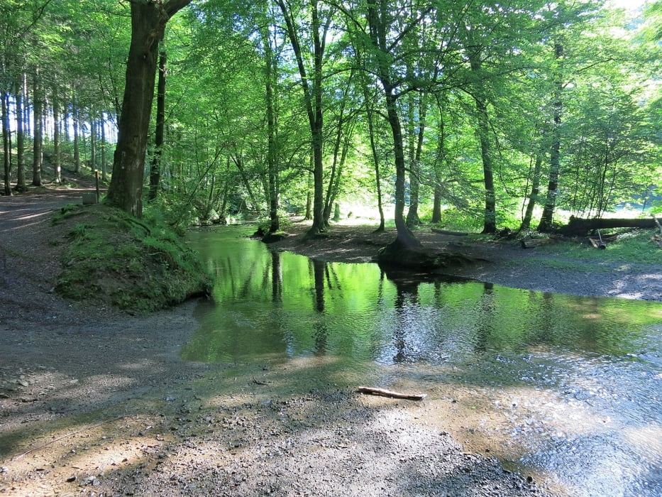 drei Bächetour im "Bergischen Land"
