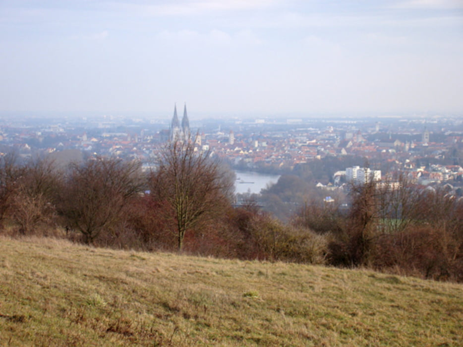 Auf den Winzerer Höhen bei Regensburg