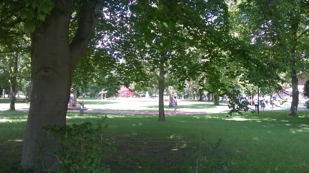 Kurpark Bad Westernkotten