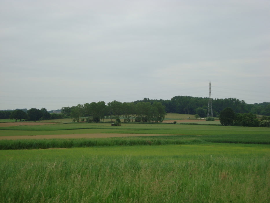 Wandelen van Kortrijk-Dutsel naar de Chartreuze en terug