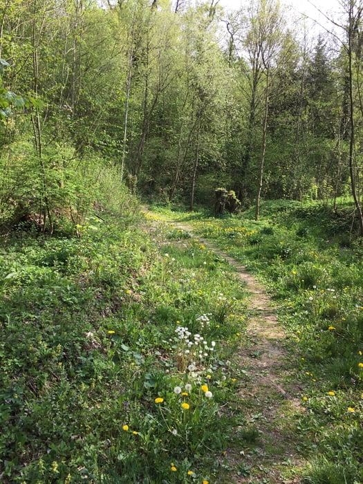 DGF002_Runde über Ober- und Niederviehbach