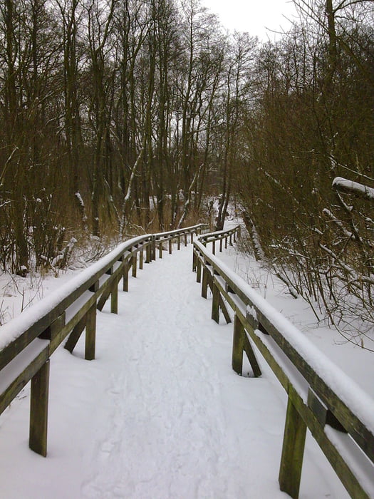 Tiefschneetrails und 3 Berge im Hamburger Norden