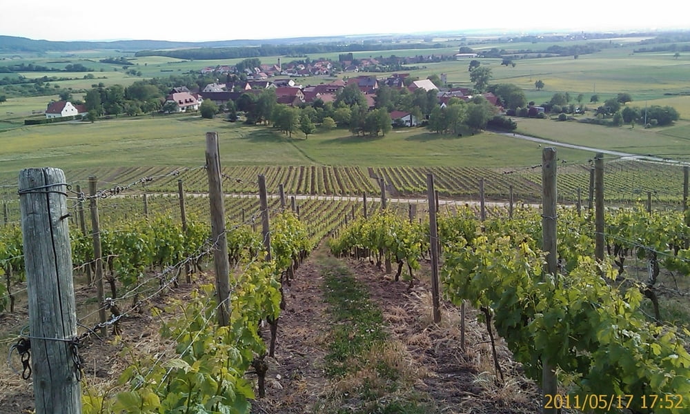 Von Zeil zum Zabelstein, durch die Weinberg-Südwesthänge und zurück