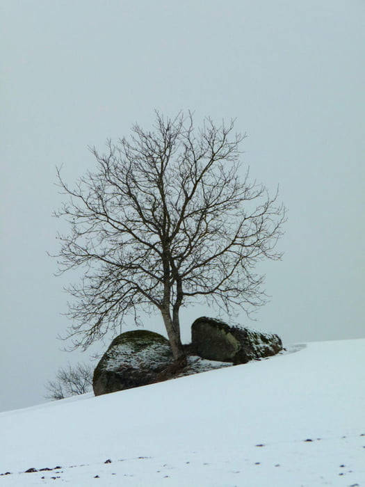 Um den Höfnerberg