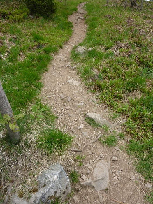 Markgräflerland, Castelberg, Sulzburg, Kälblescheuer