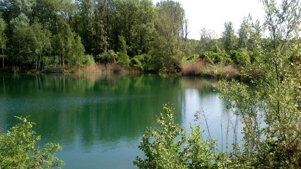 Greifenstein