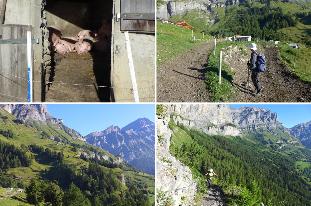 Walliser Sonnenweg: Leukerbad - Montana