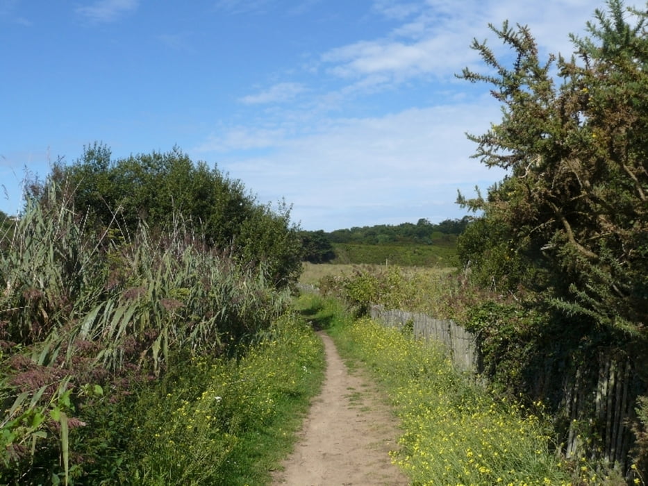 Plage de Verger - Pte du Grouin - Pte du Nid