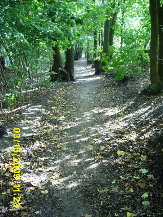 Osning Tour