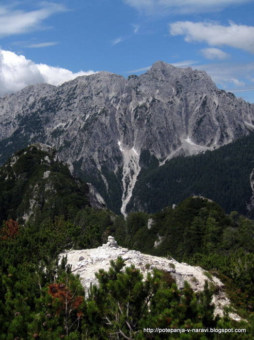 Ciprnik