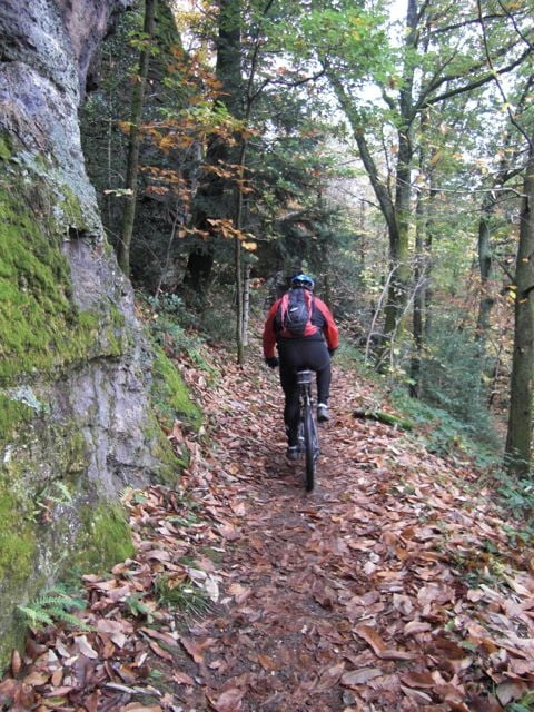 Batterweg und Schloss Hohenbaden