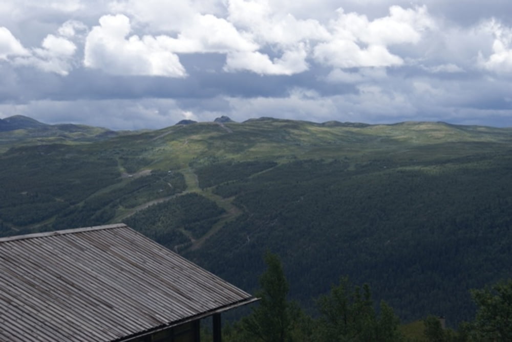 Løytetjønnshøvda