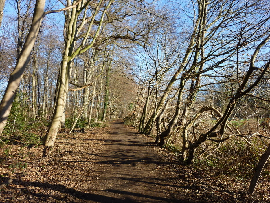 Kleine Runde ab Schlebusch