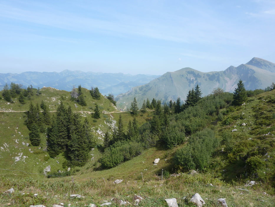 Panoramaweg - Baumgartenhöhe - Niedere