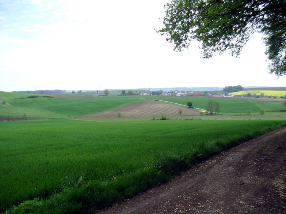 Dünzling, Oberlaichling, Thalmassing