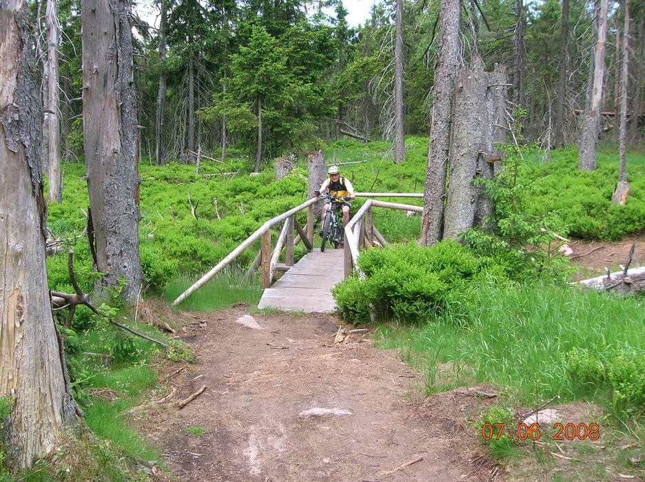 Harz-Torfhaus-Märchenweg-Wolfswarte-Magdeburger Weg