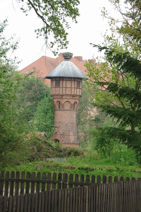 Durch die Elbtalaue