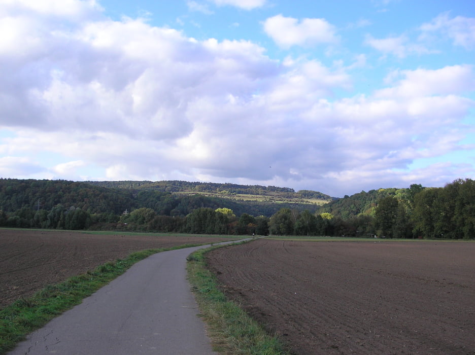 Fischerberg - Runde