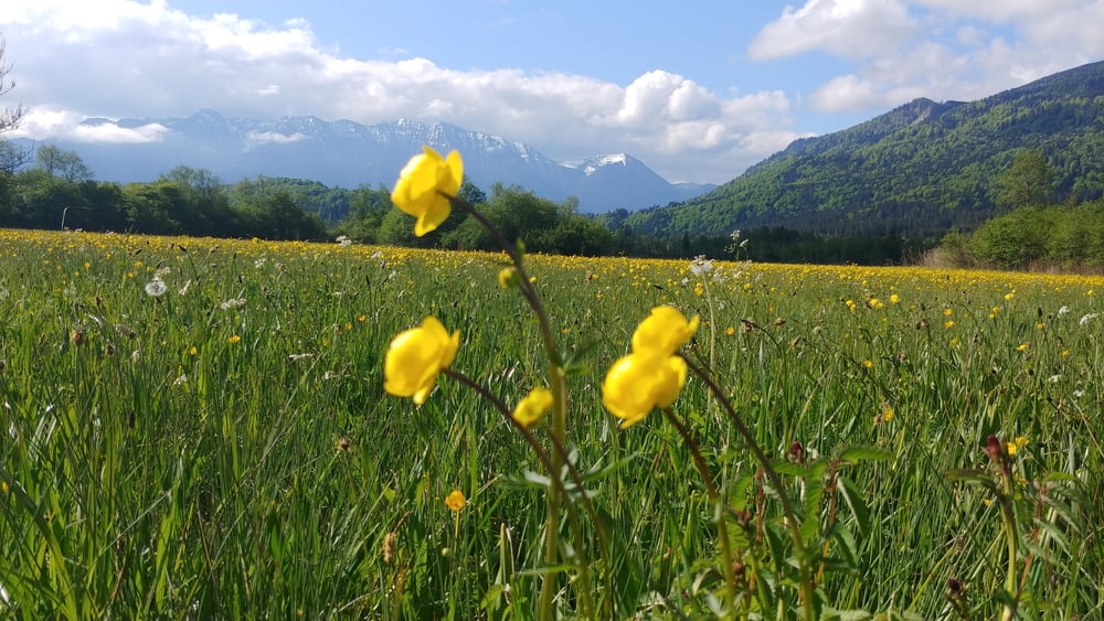 Murnau Hoherpeißenberg