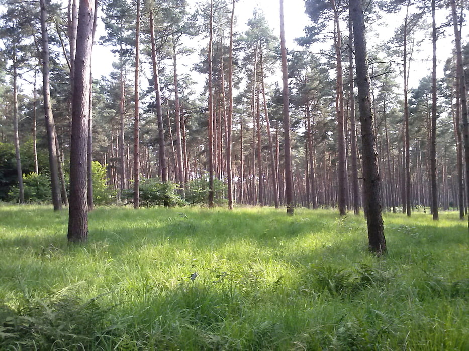 Naturpark Schwalm Nette Dalheim-Rödgen