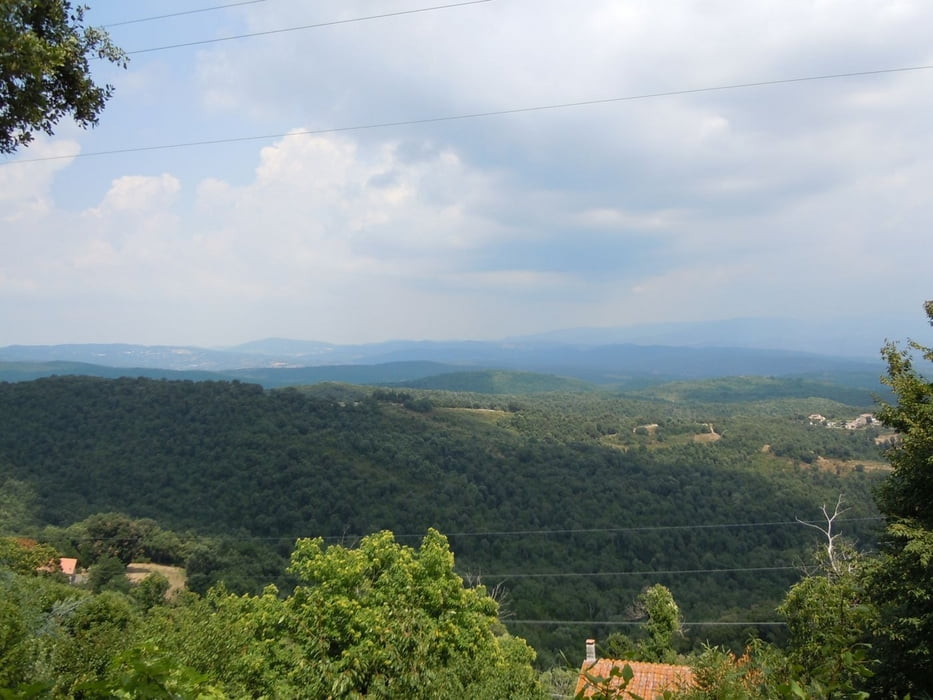 Castagneto Carducci Sassetta San Vincenzo