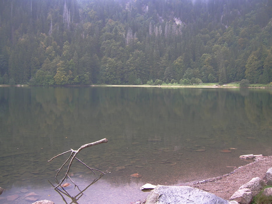 Altglashütten - Bärental - Feldsee - Feldberggipfel - Altglashütten