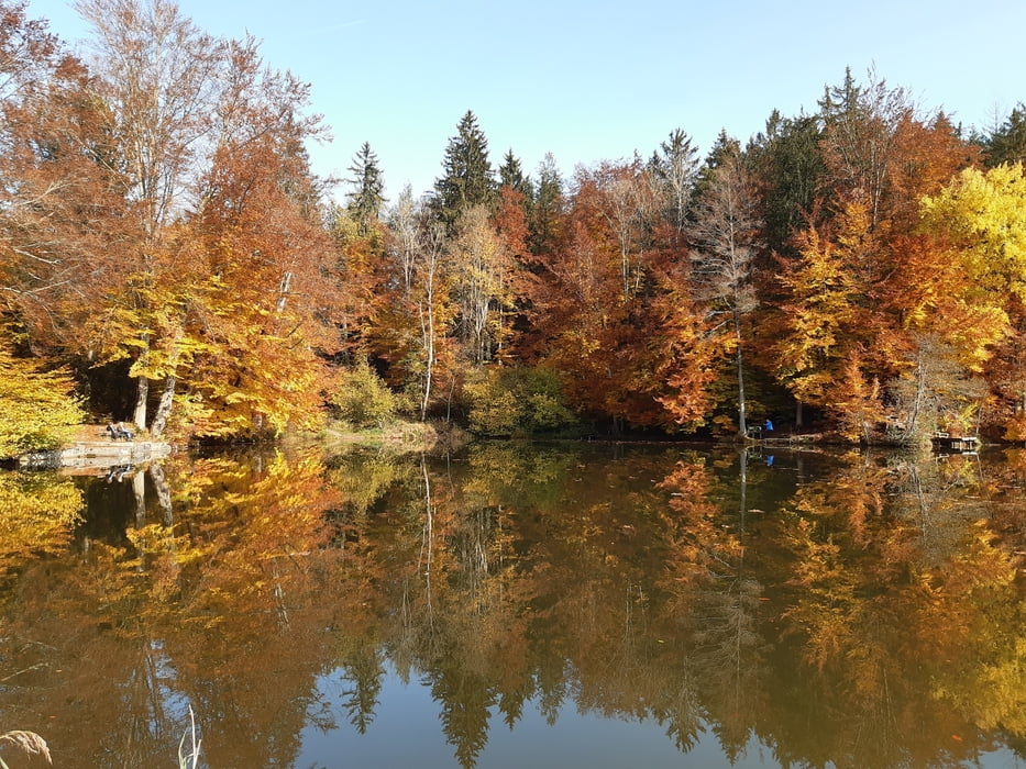 Dietramszeller Weiher